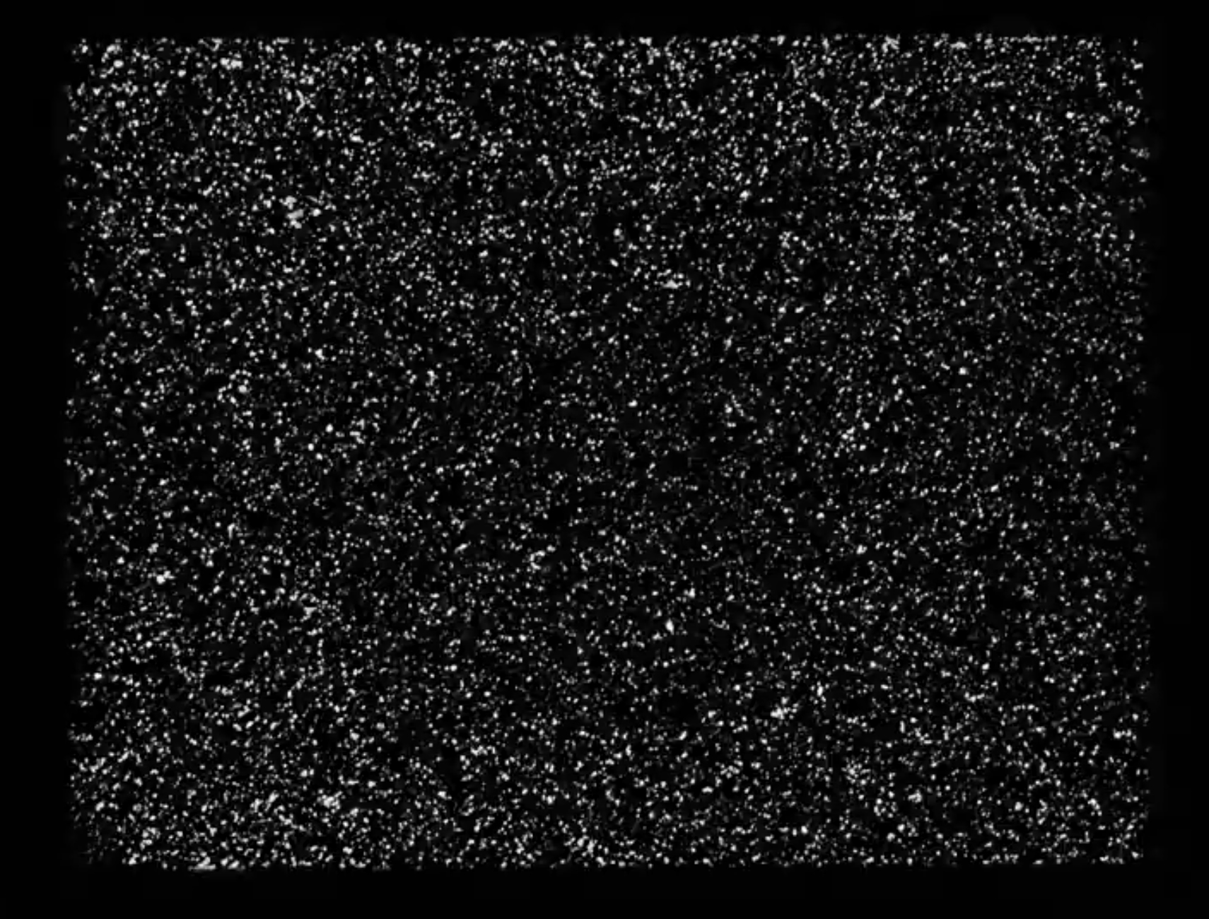 A fluid dynamics experiment shows small fluorescent particles carried along by the flow. The particles represent the types of data used in the School of Physics study. (Credit: Roman Grigoriev)